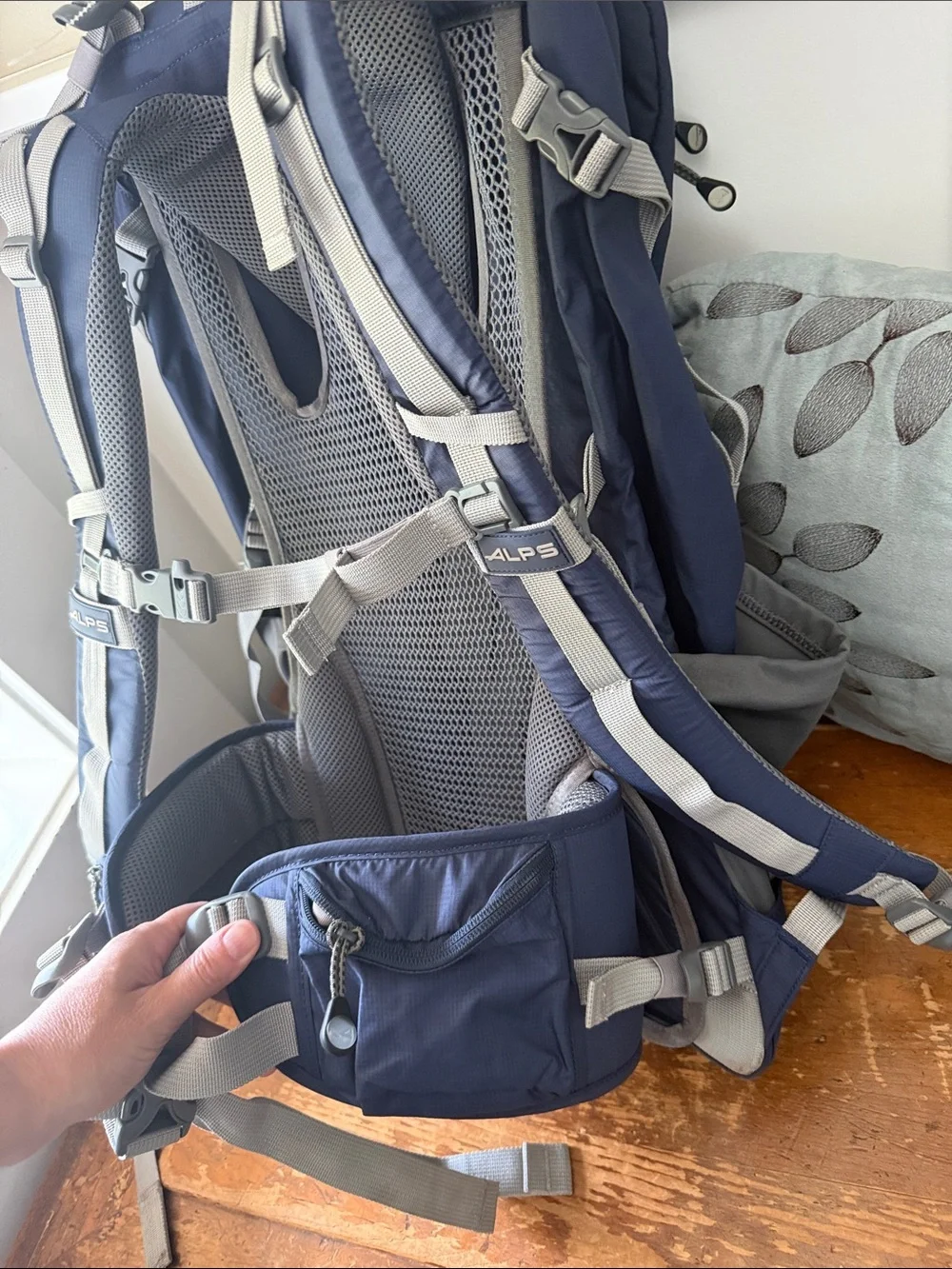 Alps Mountaineering® Baja 60 Backpack
